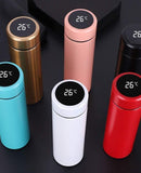 LED Temperature Display Flask
